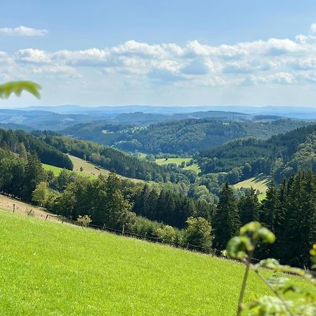 Ferienwohnung Up Willingen-Schwalefeld Willingen  Ngoại thất bức ảnh