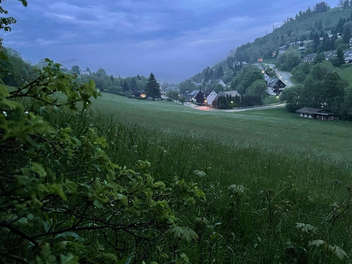Ferienwohnung Up Willingen-Schwalefeld Willingen  Ngoại thất bức ảnh