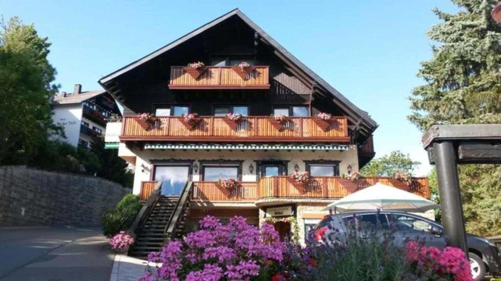 Ferienwohnung Up Willingen-Schwalefeld Willingen  Ngoại thất bức ảnh