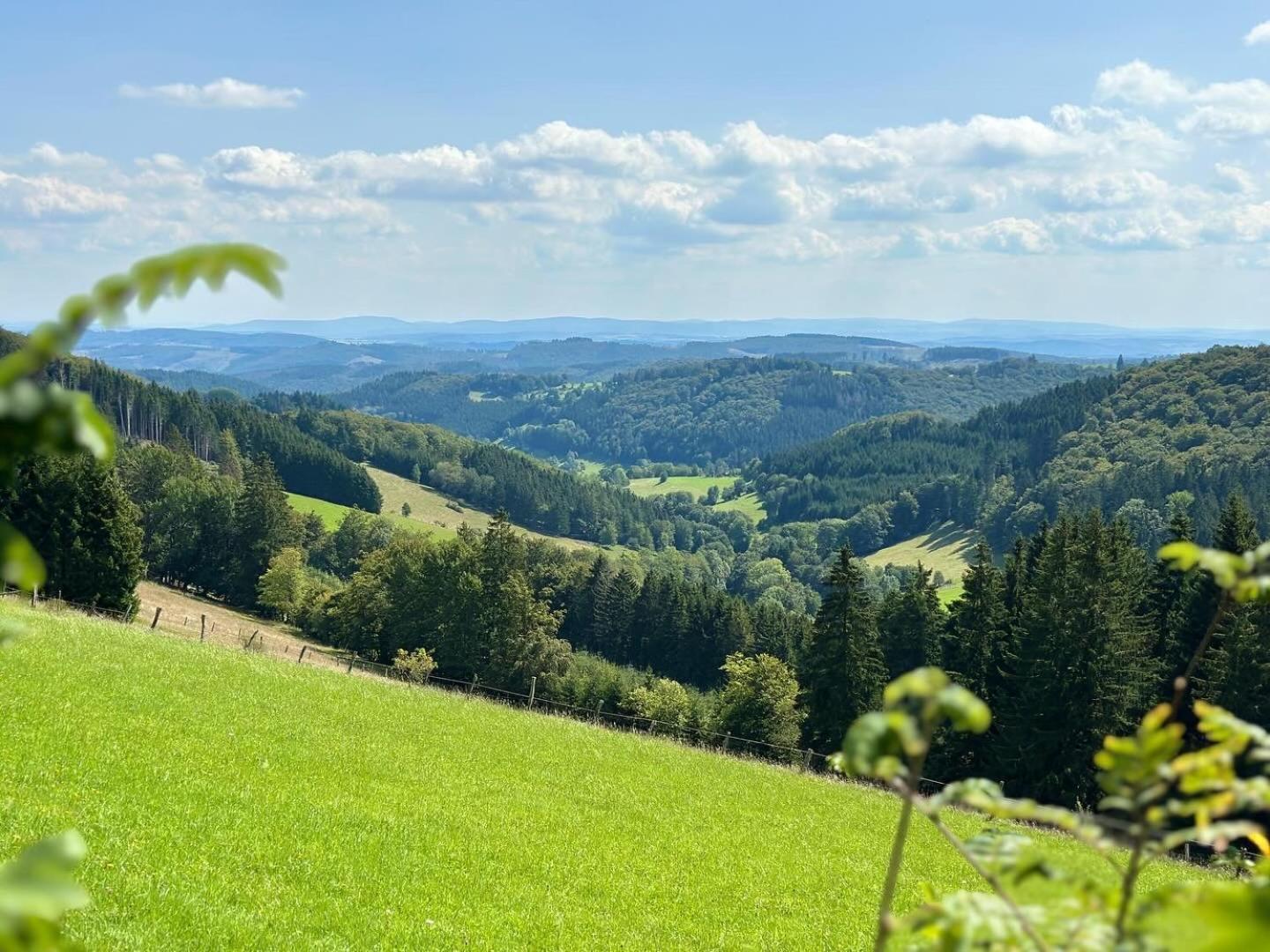 Ferienwohnung Up Willingen-Schwalefeld Willingen  Ngoại thất bức ảnh